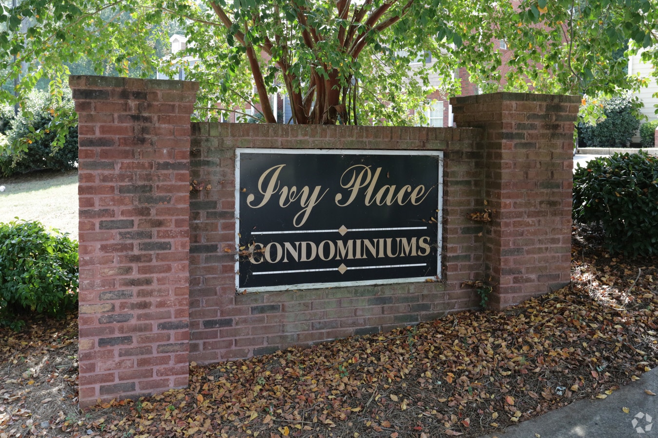 Photo - Ivy Place Condominiums