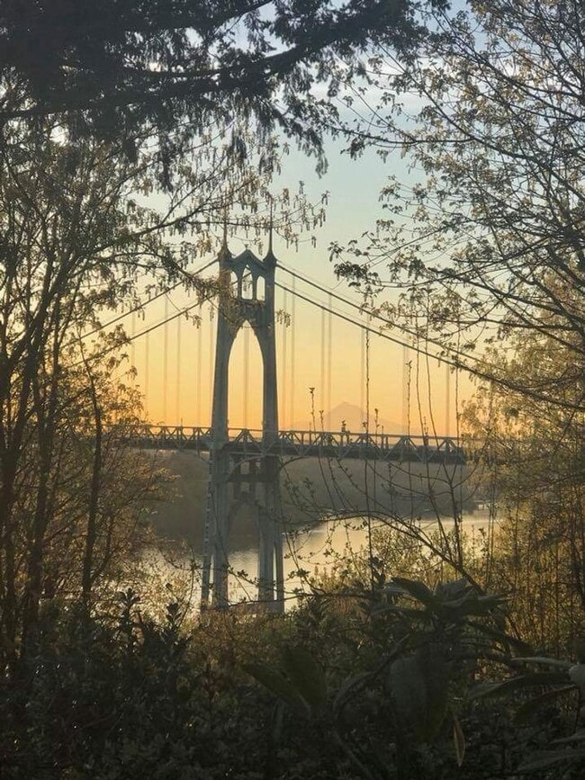 Cathedral Park