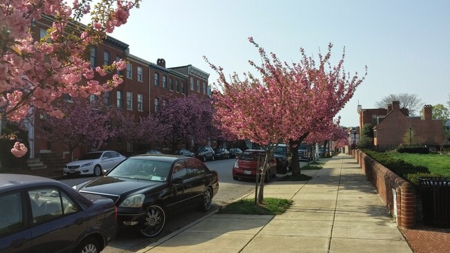 Paca St. view - 626 Jasper St Townhome