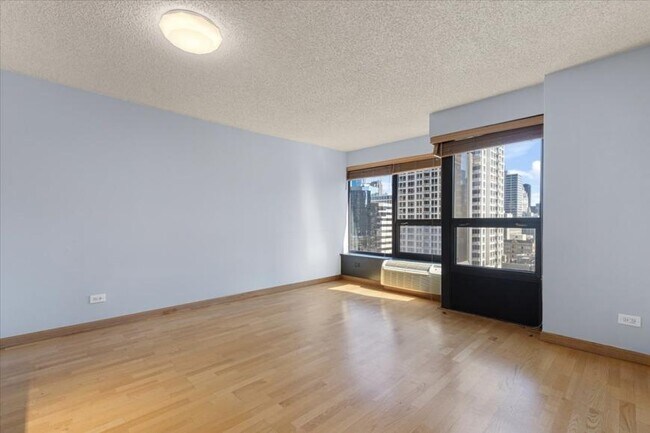 1 bedroom in Chicago IL 60611 - 1 bedroom in Chicago IL 60611 Condo Unit 2003