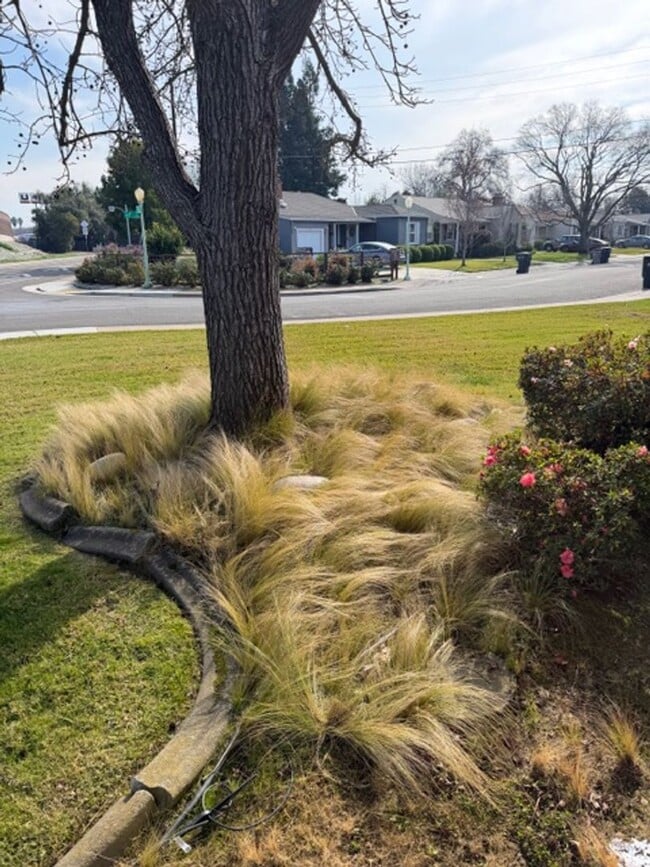 Photo - Charming 3-Bedroom Home on a Corner Lot