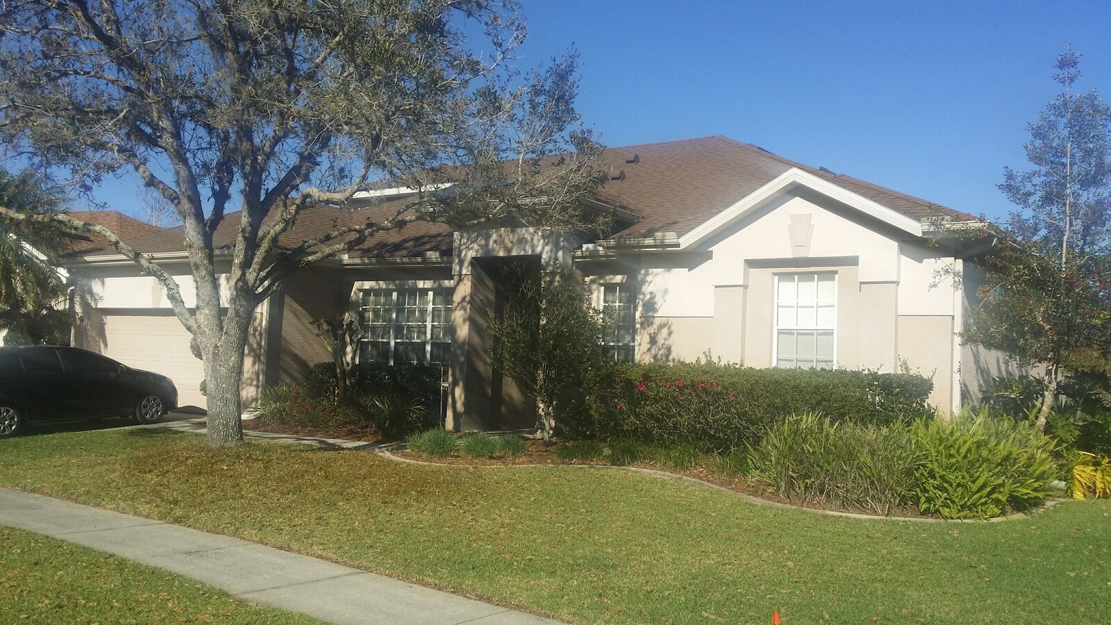 Front of the house - 713 Forestgreen Ct