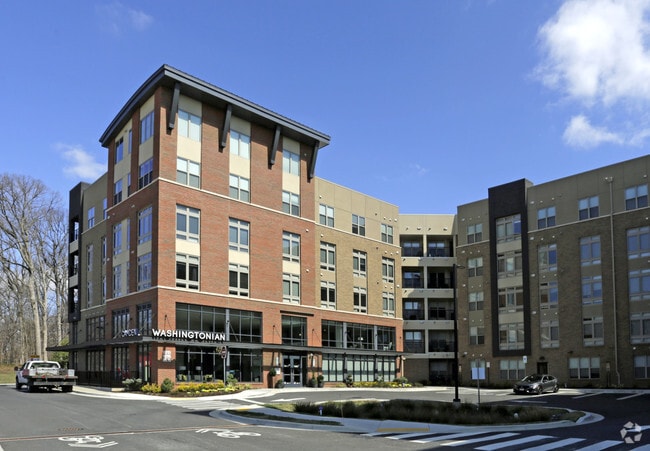 Camden Washingtonian