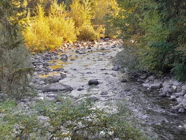 Photo - Country Setting Single Wide Manufactured H... Unidad Space-8-MH