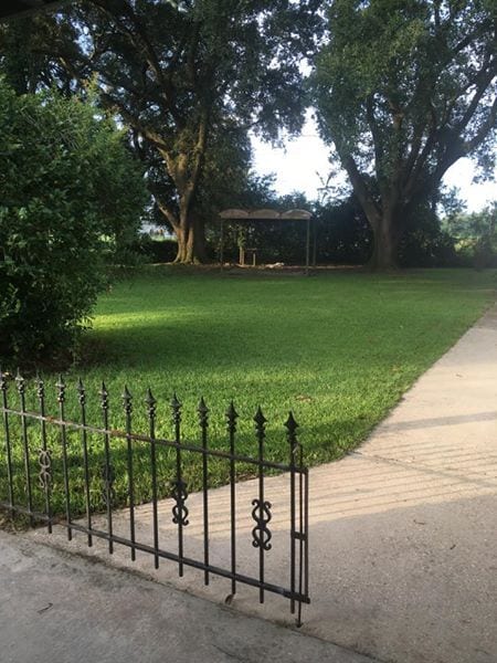 Photo - 1232 Hugh Wallis Rd