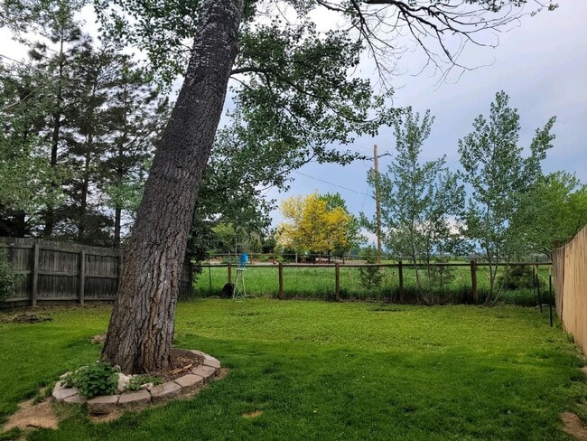 Photo - Pre-Lease Avail. 06/01 - Open & Bright, Updated Flooring, W/D Available