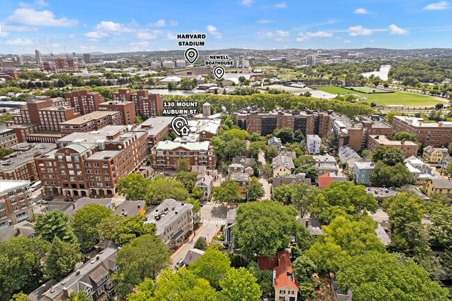 Photo - 130 Mt Auburn St Unit 113