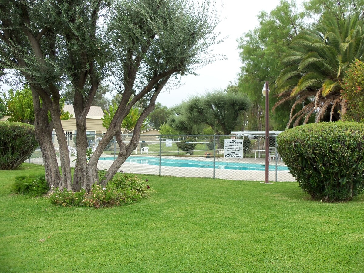 Community Pool - 150 E Lakeshore Dr