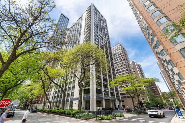 Building Photo - 222 E Pearson St Unit 1005