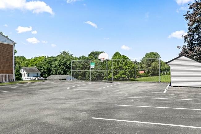 Half-Court Basketball