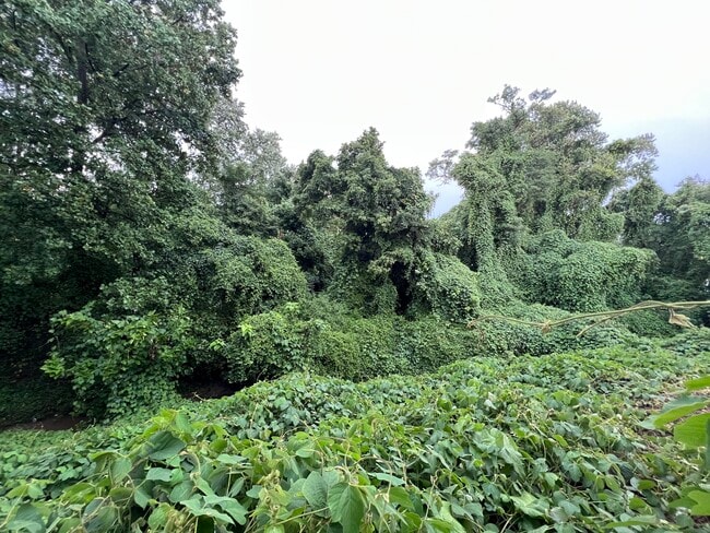 Photo - 209 Unicorn Pl