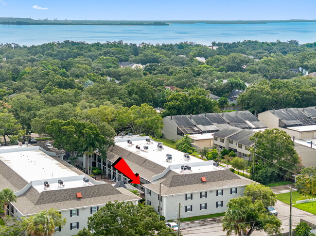 Photo - 5221 Bayshore Blvd Condo Unit #33