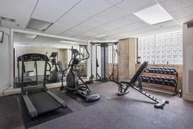 Photo - South Loop Chicago 1 Bed 1 Bath Apartment