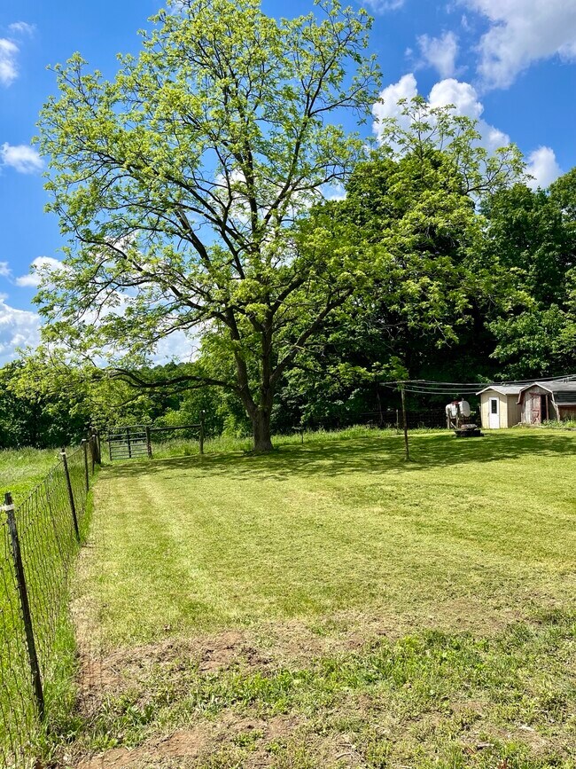 3203 Township Rd 130 Rental House Rental in Millersburg, OH