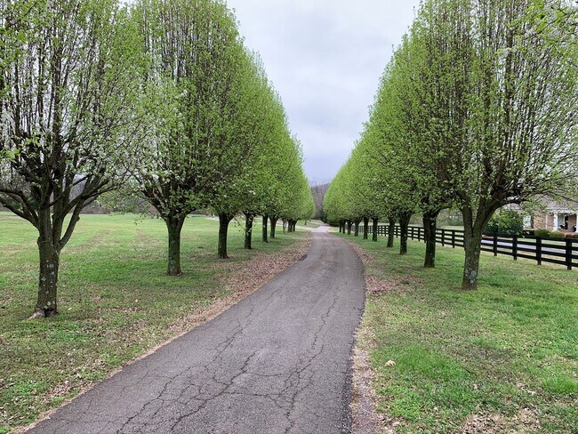 Photo - 5000 Square Feet on 7 Acres in Heart of Franklin