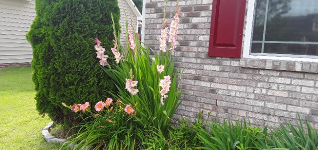 Photo - 5833 Kindley Dr