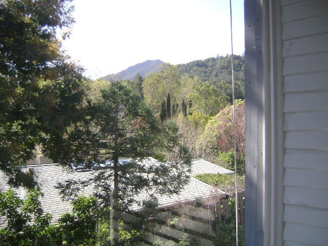 Photo - 117 Locust Ave Unidad 1