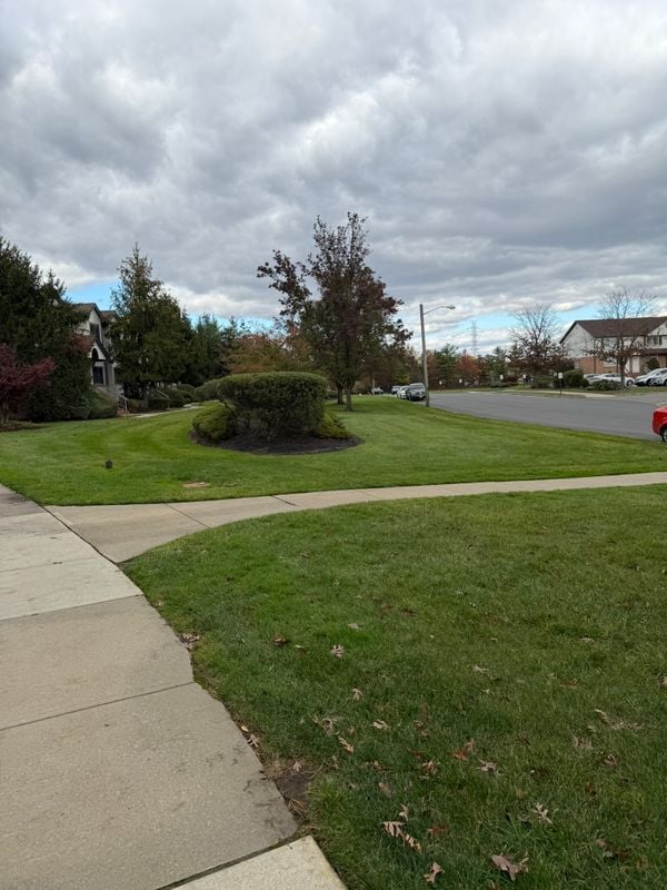 Photo - 4706 Boice Dr