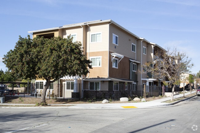 Walnut Street Apartments - Walnut Street Apartments