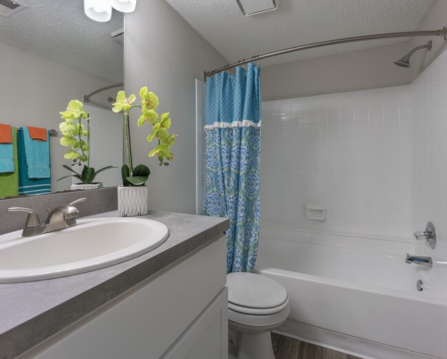 Four Lakes at Clearwater Apartments For Rent in Clearwater, FL