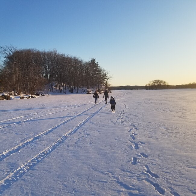 Photo - 29 Crescent Ter