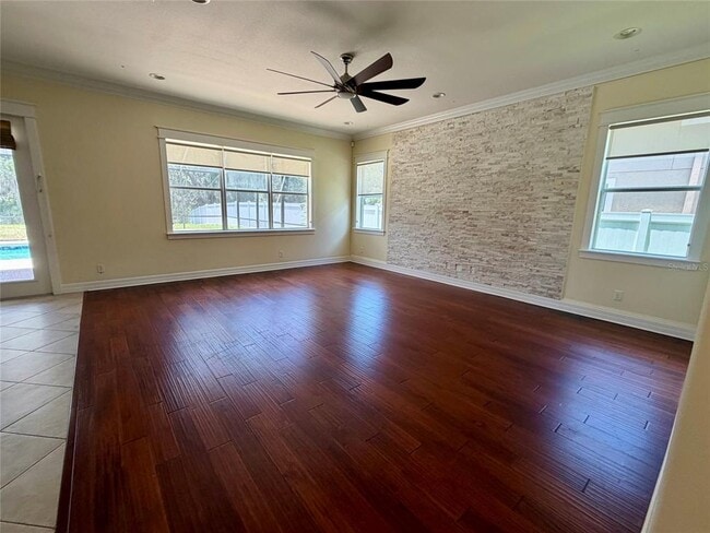 Photo - 10531 Mistflower Ln