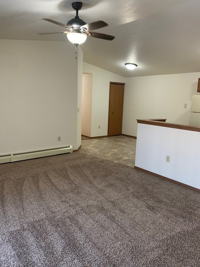 Living room and kitchen