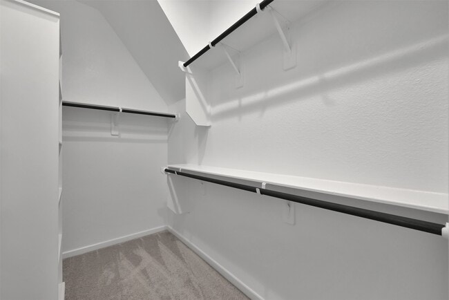 Photo - 543 Longleaf Pine Dr