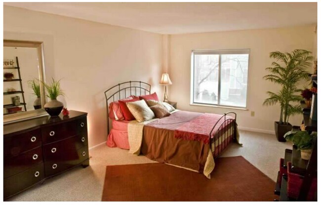 Photo - 315 Franklin St