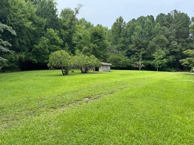 Photo - Beautiful private oasis located in Pamlico County