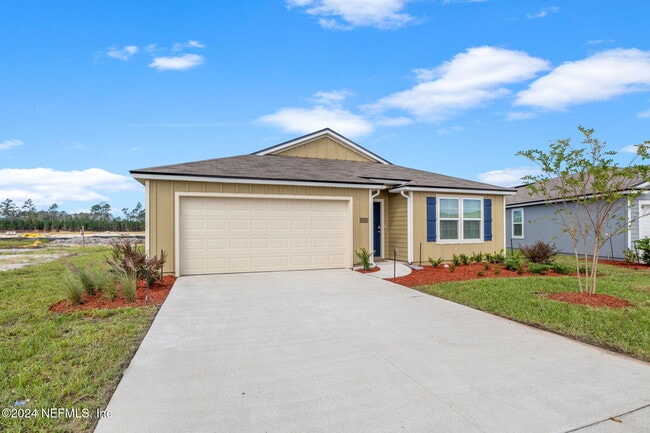 Photo - 12573 Rubber Fig Ter