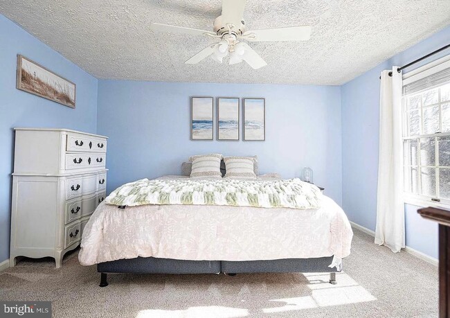 Photo - 133 Spruce Woods Ct