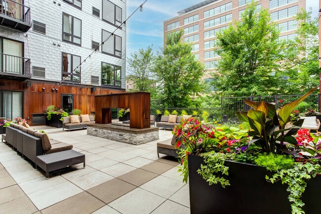 Photo - Dock Street Flats