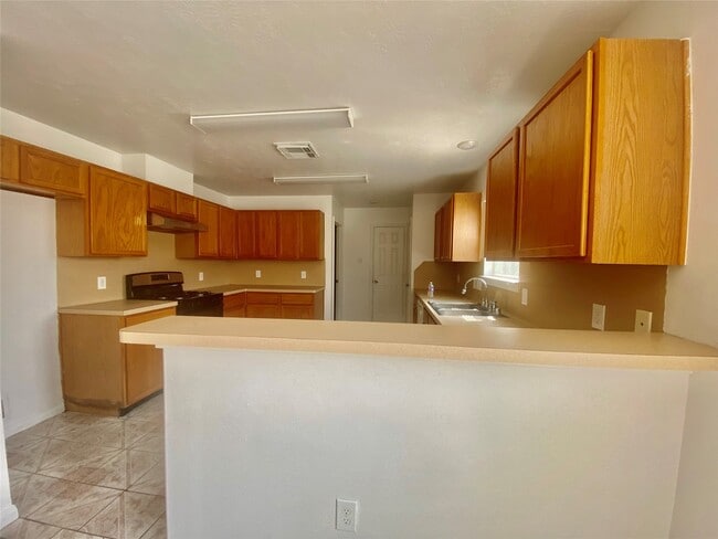 Photo - 14631 Alannah Lagoon Ct