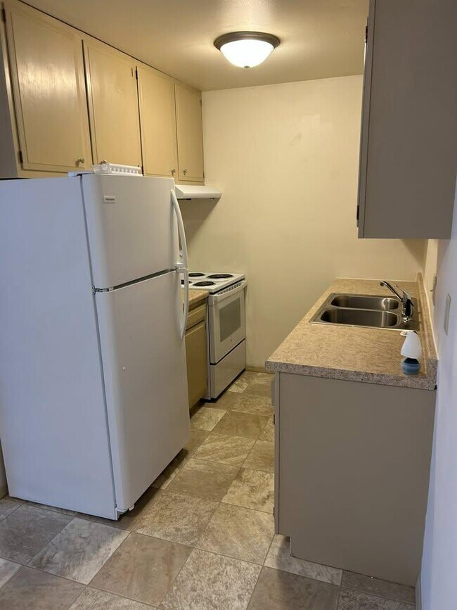 Photo - 1401 S Driscoll St