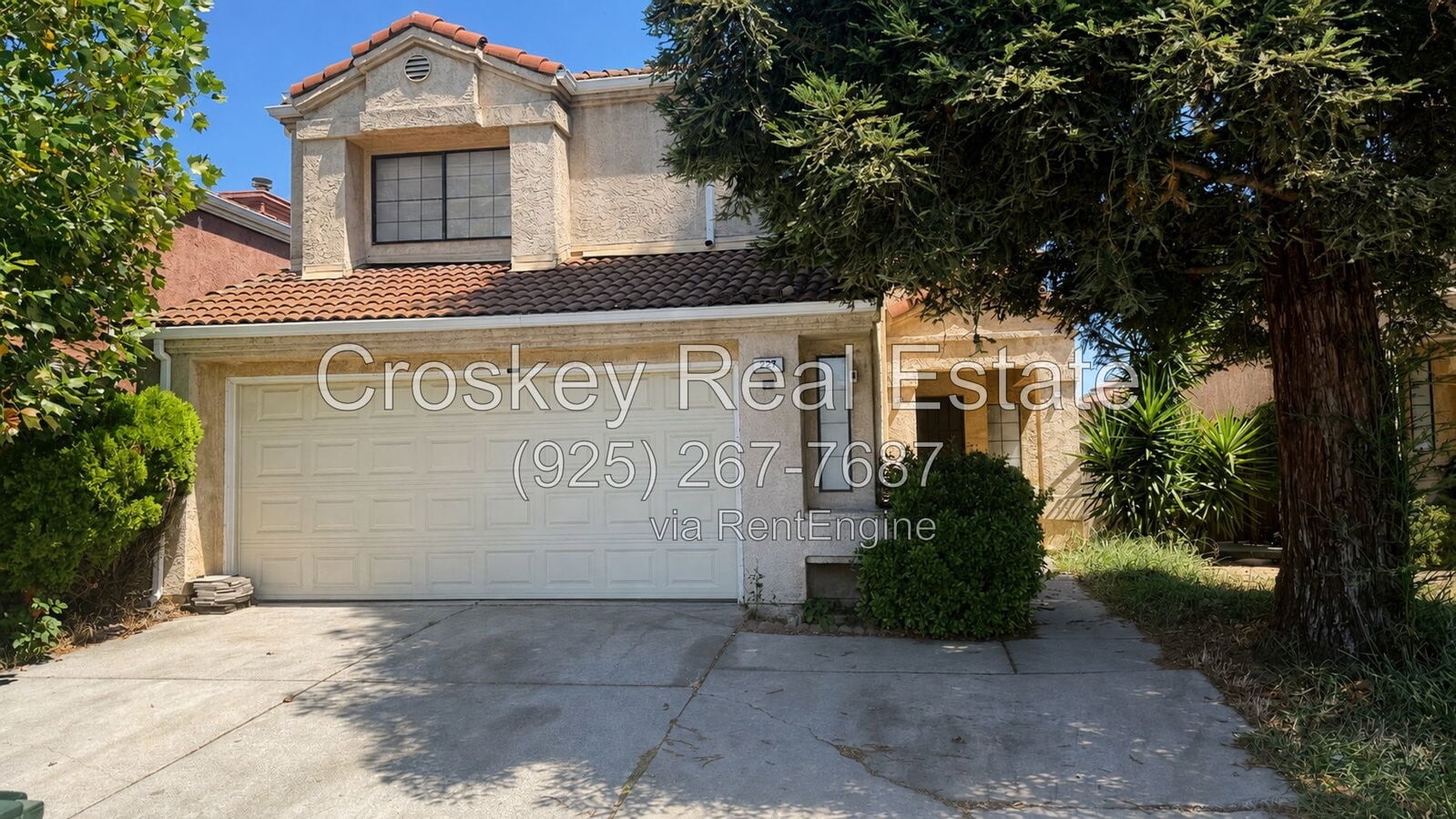 Photo - 227 Rolfe Dr