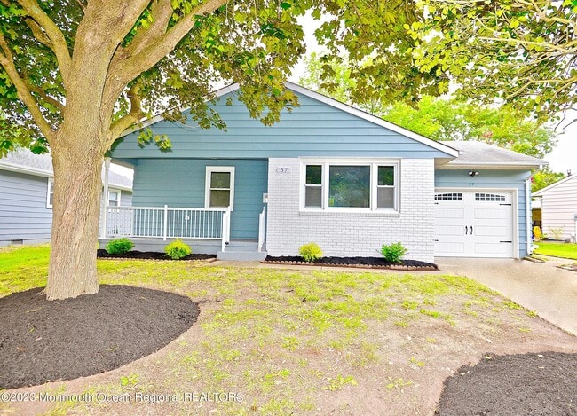 Photo - 57 Golden Glow Circus