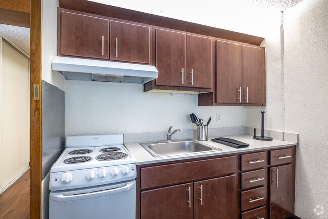 1 BR, 1 BA 250 SQF - Kitchen - Northgate Terrace