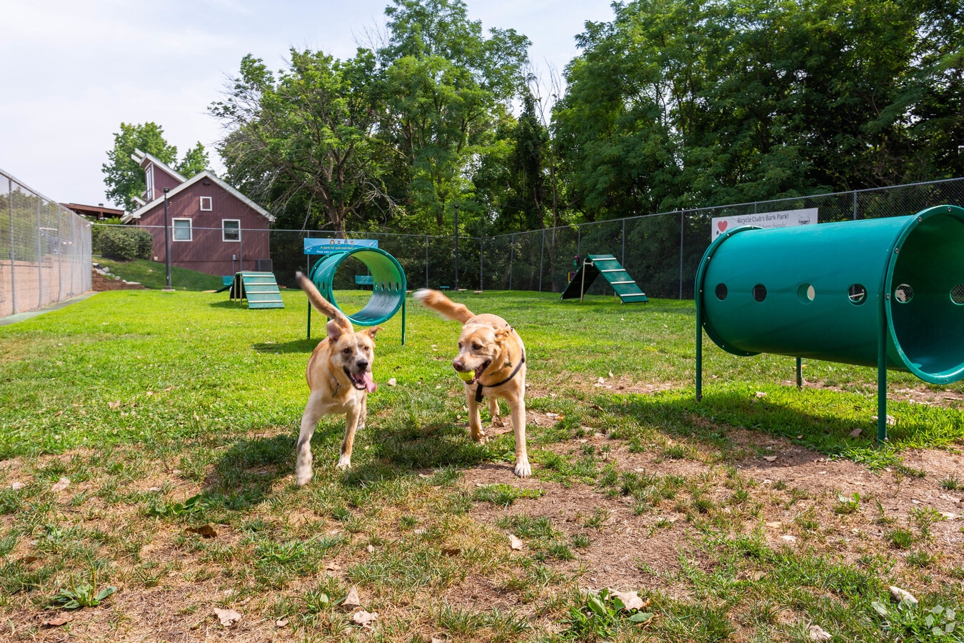 Dog Park - Bicycle Club Apartments