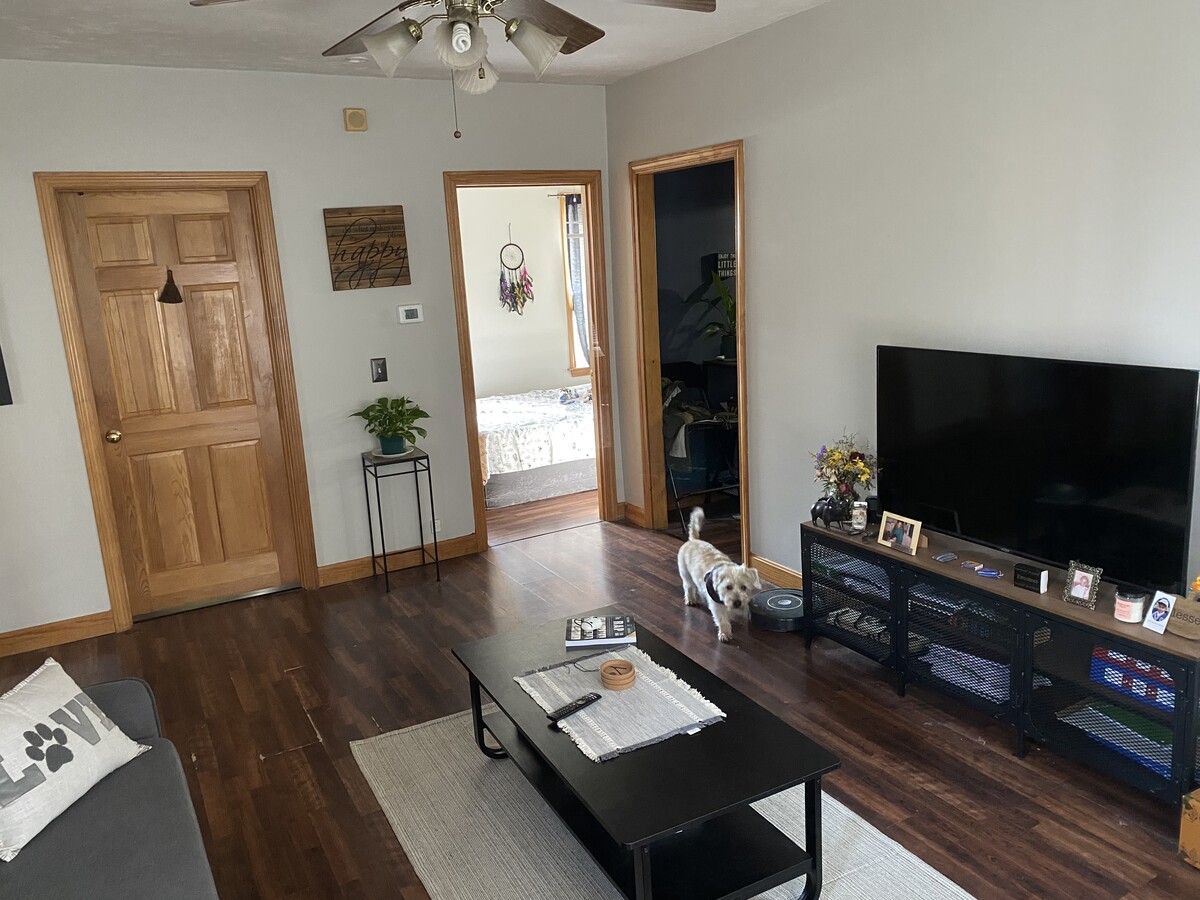 Photo - 10 Carver St