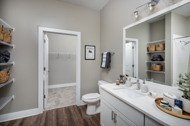 Scheme 2 Bathroom and Walk-in Closet