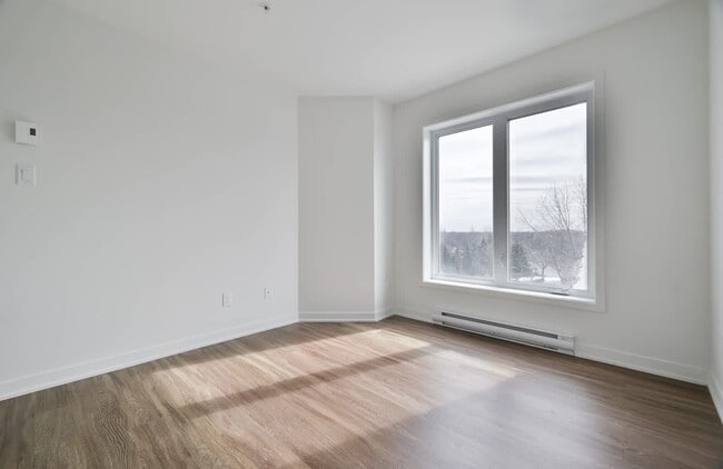 Photo - Vivacité Longueuil I