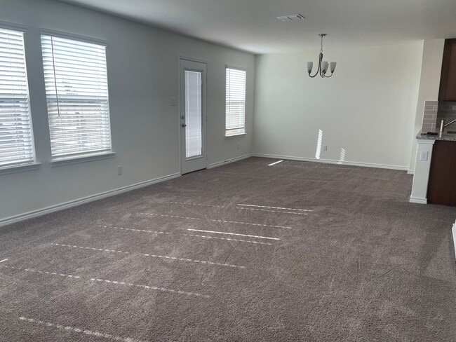 Photo - 11732 Red Pheasant