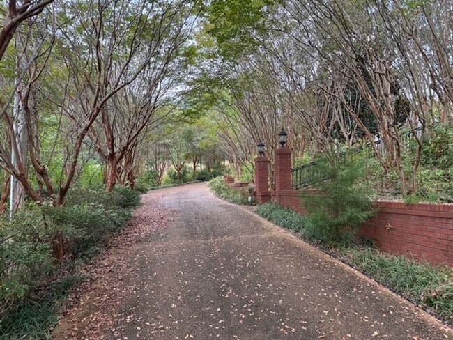 Photo - 52 Co Rd 296