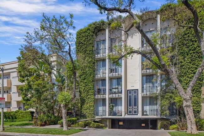 409 Palm