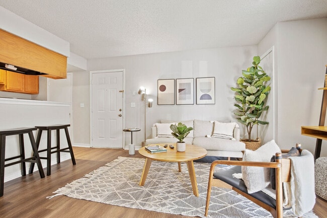 Stylish living area with mid-century decor, patterned rug, green plant, and soft lighting from a standing floor lamp