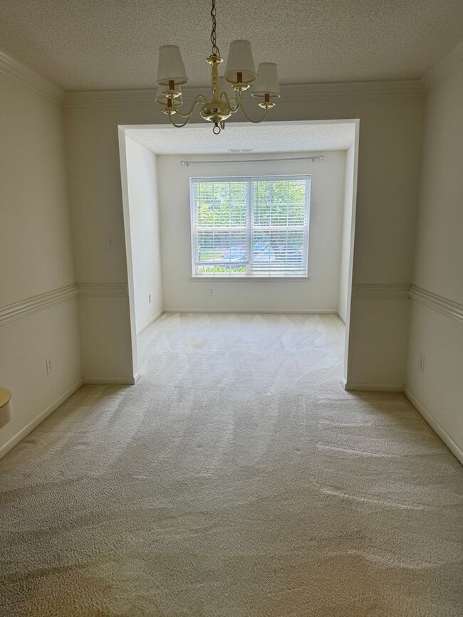 Photo - Bristol Commons