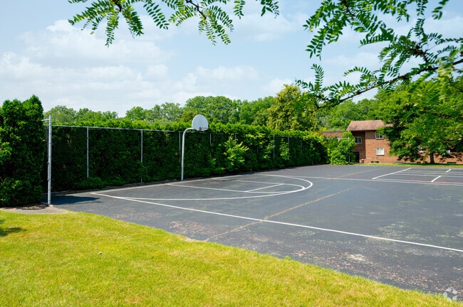 Basketball Court