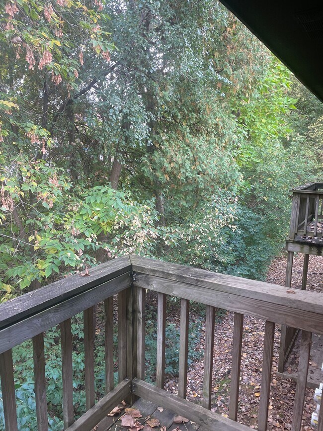 One bedroom apartment with balcony
