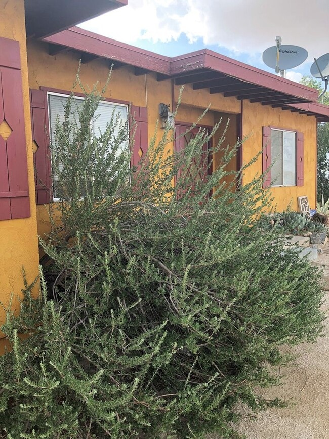 Photo - AVAILABLE NOW